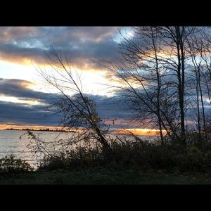 Meet your Posher, Farzeen